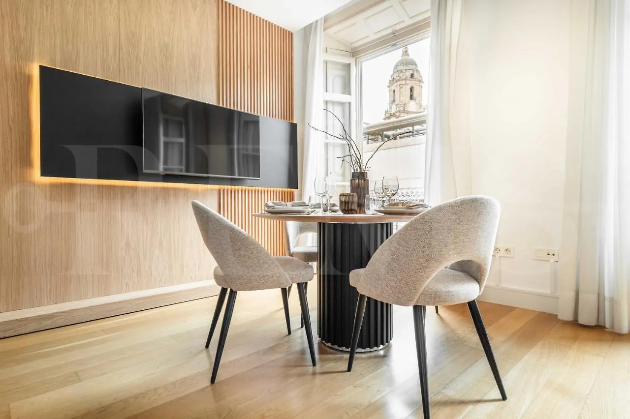 Luxe Apartment In The Historic Center By Rems Malaga