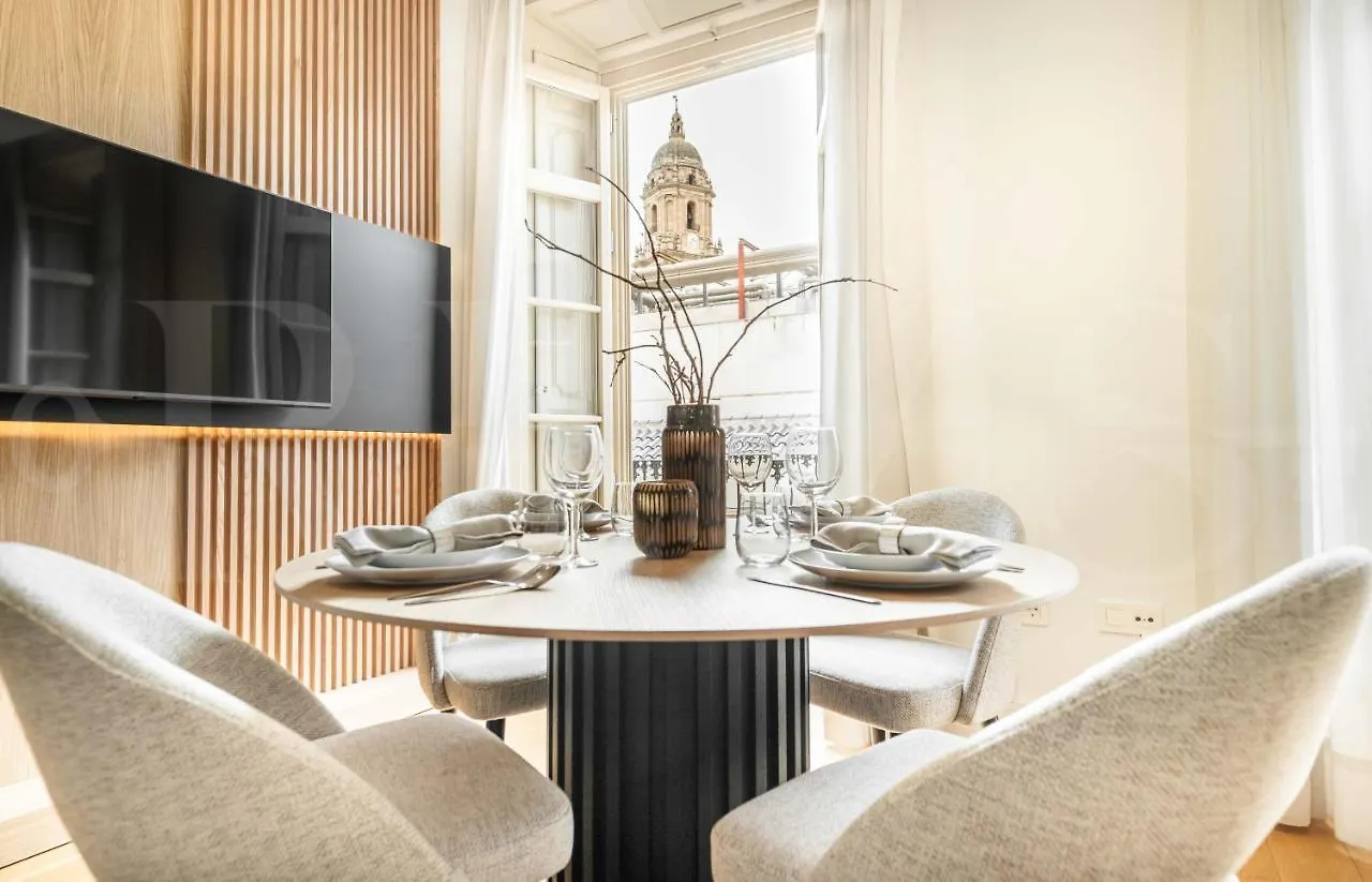 Luxe Apartment In The Historic Center By Rems Malaga