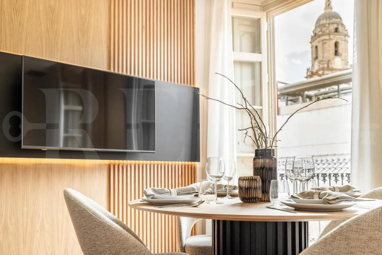 Luxe Apartment In The Historic Center By Rems Malaga